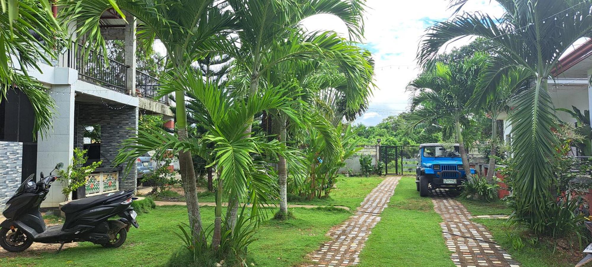 Jean Studio Apartment Panglao Eksteriør bilde